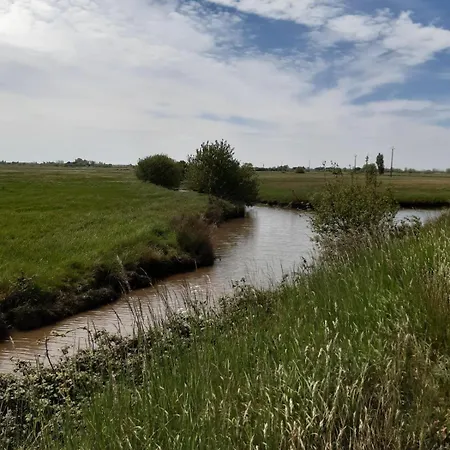 Paisible à Deux Pas De La Apartamento