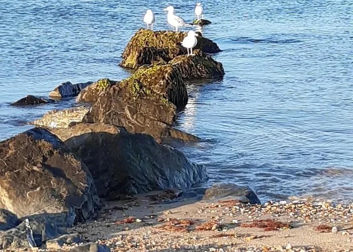 Paisible à Deux Pas De La * Saint-Hilaire-de-Riez