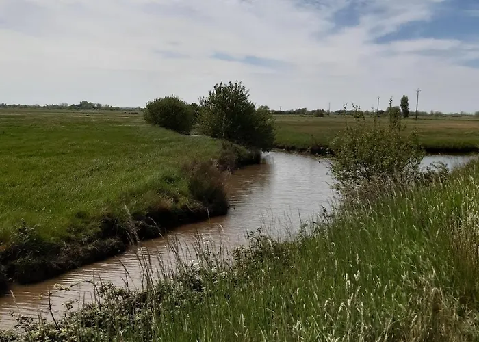 Paisible A Deux Pas De La Lejlighed